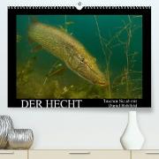 Der Hecht - Tauchen Sie ab mit Daniel Hohlfeld (Premium, hochwertiger DIN A2 Wandkalender 2022, Kunstdruck in Hochglanz)