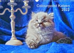 Colourpoint Katzen 2022 (Wandkalender 2022 DIN A3 quer)