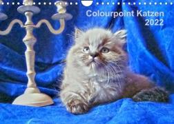 Colourpoint Katzen 2022 (Wandkalender 2022 DIN A4 quer)