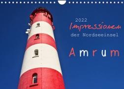 Impressionen der Nordseeinsel Amrum (Wandkalender 2022 DIN A4 quer)