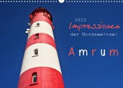 Impressionen der Nordseeinsel Amrum (Wandkalender 2022 DIN A3 quer)