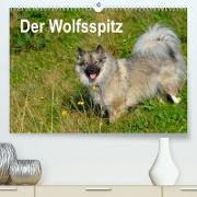 Der Wolfsspitz (Premium, hochwertiger DIN A2 Wandkalender 2022, Kunstdruck in Hochglanz)