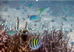 Unterwasserwelt der Malediven III (Wandkalender 2022 DIN A2 quer)