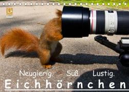Eichhörnchen (Tischkalender 2022 DIN A5 quer)