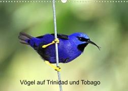 Vögel auf Trinidad und Tobago (Wandkalender 2022 DIN A3 quer)