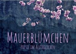 Mauerblümchen - Poesie im Alltäglichen (Wandkalender 2022 DIN A2 quer)