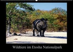 Wildtiere im Etosha Nationalpark (Wandkalender 2022 DIN A2 quer)