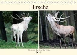 Hirsche - Die stolzen Bewohner des Waldes (Tischkalender 2022 DIN A5 quer)