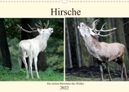 Hirsche - Die stolzen Bewohner des Waldes (Wandkalender 2022 DIN A3 quer)