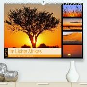 Im Lichte Afrikas (Premium, hochwertiger DIN A2 Wandkalender 2022, Kunstdruck in Hochglanz)