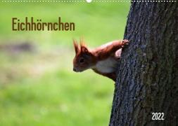Eichhörnchen (Wandkalender 2022 DIN A2 quer)