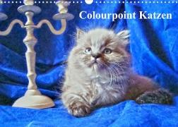 Colourpoint Katzen (Wandkalender 2022 DIN A3 quer)
