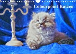 Colourpoint Katzen (Wandkalender 2022 DIN A4 quer)