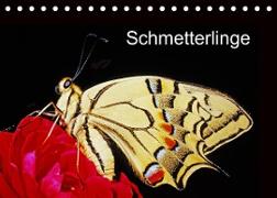 Schmetterlinge (Tischkalender 2022 DIN A5 quer)