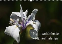 Naturschönheiten - Nahaufnahmen (Wandkalender 2022 DIN A3 quer)