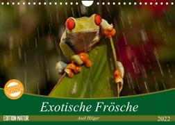Exotische Frösche (Wandkalender 2022 DIN A4 quer)