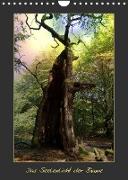 Das Seelenlicht der Bäume (Wandkalender 2022 DIN A4 hoch)