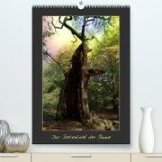 Das Seelenlicht der Bäume (Premium, hochwertiger DIN A2 Wandkalender 2022, Kunstdruck in Hochglanz)