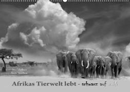 Afrikas Tierwelt lebt - schwarz auf weiß (Wandkalender 2022 DIN A2 quer)