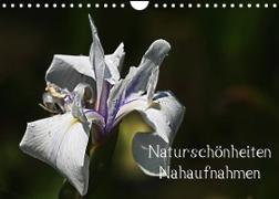 Naturschönheiten - Nahaufnahmen (Wandkalender 2022 DIN A4 quer)