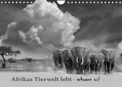 Afrikas Tierwelt lebt - schwarz auf weiß (Wandkalender 2022 DIN A4 quer)