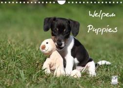 Welpen - Puppies (Wandkalender 2022 DIN A4 quer)