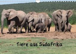 Tiere aus Südafrika (Wandkalender 2022 DIN A4 quer)