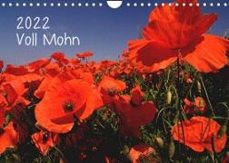 Voll Mohn (Wandkalender 2022 DIN A4 quer)