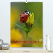 Marienkäferglück (Premium, hochwertiger DIN A2 Wandkalender 2022, Kunstdruck in Hochglanz)