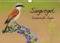 Singvögel - Zauberhafte Sänger (Wandkalender 2022 DIN A4 quer)