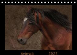 Animals (Tischkalender 2022 DIN A5 quer)