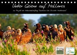 Unter Geiern auf Mallorca: Ein Projekt der Naturschutzstiftung Vida Silvestre Mediterránea (Tischkalender 2022 DIN A5 quer)