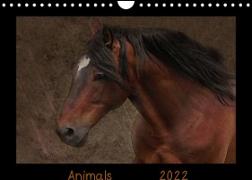 Animals (Wandkalender 2022 DIN A4 quer)