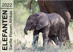 Elefanten - Sanfte Riesen Afrikas (Wandkalender 2022 DIN A2 quer)