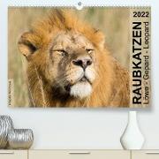 Raubkatzen - Löwe, Gepard, Leopard (Premium, hochwertiger DIN A2 Wandkalender 2022, Kunstdruck in Hochglanz)