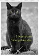 Miezekatzen Planungskalender (Wandkalender 2022 DIN A3 hoch)