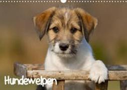 Hundewelpen (Wandkalender 2022 DIN A3 quer)