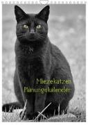 Miezekatzen Planungskalender (Wandkalender 2022 DIN A4 hoch)