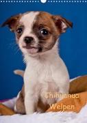 Chihuahua Welpen (Wandkalender 2022 DIN A3 hoch)