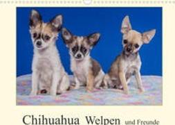 Chihuahua Welpen und Freunde (Wandkalender 2022 DIN A3 quer)
