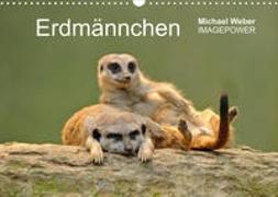 Erdmännchen - Tierkinder (Wandkalender 2022 DIN A3 quer)