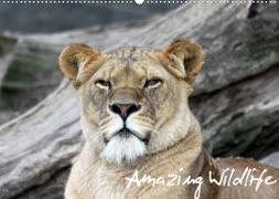 Amazing Wildlife (Wandkalender 2022 DIN A2 quer)