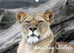 Amazing Wildlife (Wandkalender 2022 DIN A3 quer)