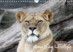 Amazing Wildlife (Wandkalender 2022 DIN A4 quer)