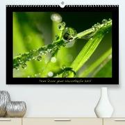 Meine kleine grüne Wassertropfen Welt (Premium, hochwertiger DIN A2 Wandkalender 2022, Kunstdruck in Hochglanz)