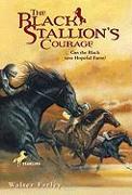 The Black Stallion's Courage