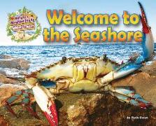 Welcome to the Seashore