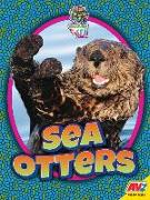 Sea Otters