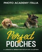 Perfect Pooches