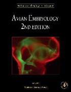 Avian Embryology